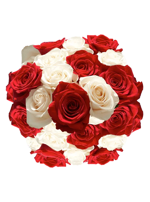 50 Stems of Roses: 25 Red and 25 White- Beautiful Fresh Cut Flowers- Express Delivery