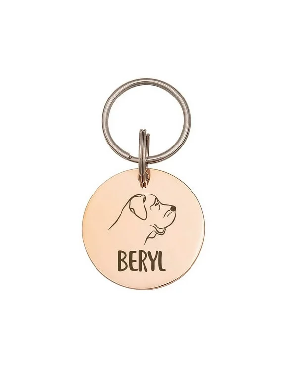 Anavia Stainless Steel Double Sided Round Name - Dog Portrait Picture Engraved Dog & Cat ID Tag, Rose Gold, S