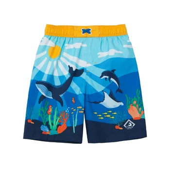 Rokka&Rolla Toddler Boys' Swim Trunks with Mesh Liner Baby Swimwear, UPF 50+ Sizes 2T-5T