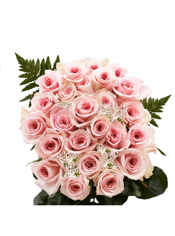 Two Dozen Pink Roses Order with Baby's breath and Green- Fresh Flower Delivery